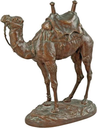D'après Antoine-Louis BARYE (1796-1875) Dromadaire harnaché d'Egypte Epreuve en bronze...