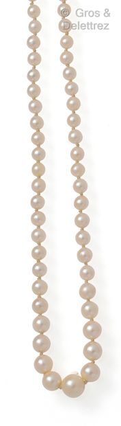 Necklace made of a fall of cultured pearl....