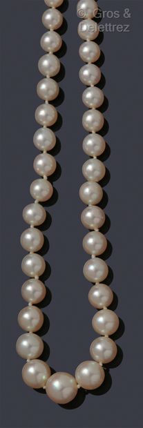 null Necklace composed of a row of cultured pearls, the clasp in white gold and platinum...