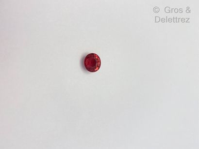 null Tourmaline ovale rose sur papier.

Poids : 4,55 carats.