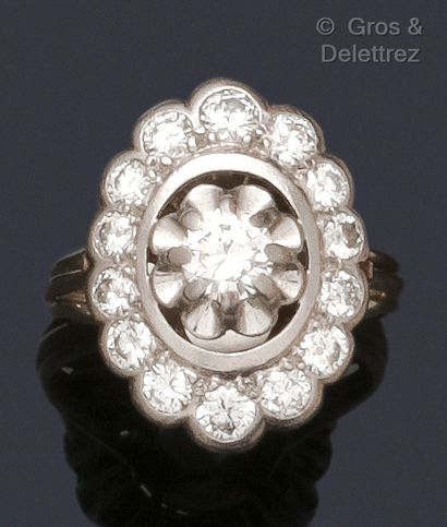 null Platinum and white gold ring, set with a brilliant-cut diamond in a circle of...