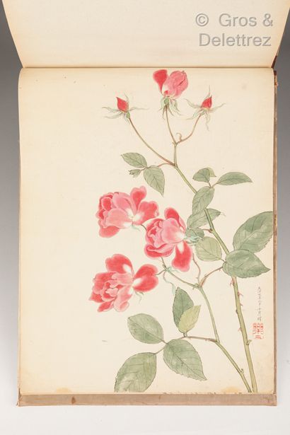 null Japon, XIXème siècle

Album avec peintures de fleurs et végétaux, la couverture...