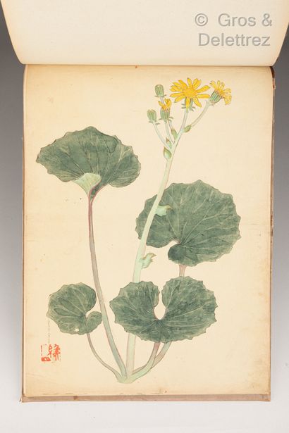 null Japon, XIXème siècle

Album avec peintures de fleurs et végétaux, la couverture...