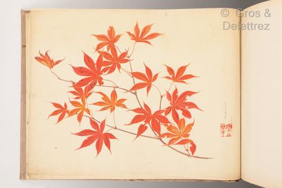 null Japon, XIXème siècle

Album avec peintures de fleurs et végétaux, la couverture...