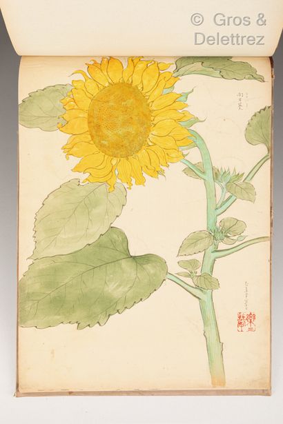 null Japon, XIXème siècle

Album avec peintures de fleurs et végétaux, la couverture...