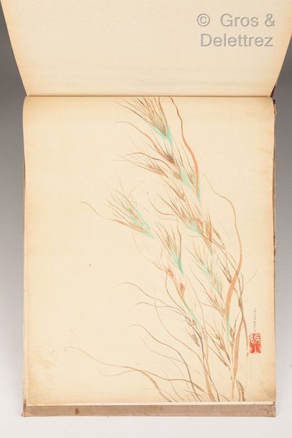 null Japon, XIXème siècle

Album avec peintures de fleurs et végétaux, la couverture...