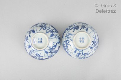 null Vietnam, vers 1900

Paire de coupe en porcelaine bleu blanc, à décor de fleurs...