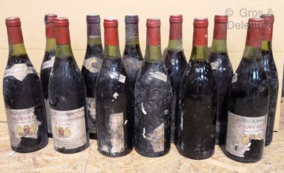 12 bouteilles 
BOURGOGNES DIVERS Dont Pommard...