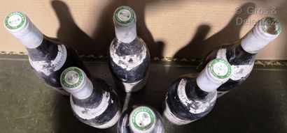 null 6 bouteilles

CÔTE - RÔTIE Brune et blonde - Jaboulet-Vercherre 1987 Etiquettes...