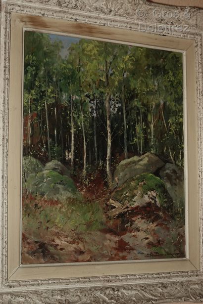Amédée BOUCHER (20th century)

Undergrowth

Oil...