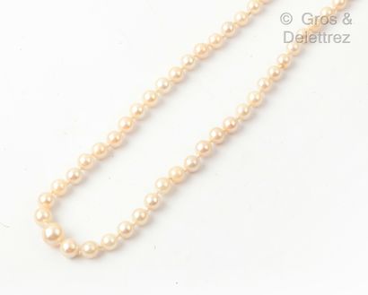 null Necklace made of a row of cultured pearls, the clasp hidden in a pearl. Diameter...