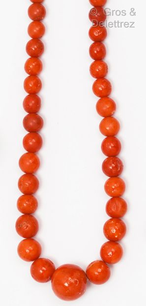 null Necklace of coral pearls in fall, the clasp in silver. Length: 62 cm. Diameter...