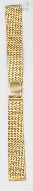 Bracelet de montre en or jaune à maille palmier....