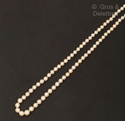 null Akoia pearl necklace with a ratchet clasp in yellow gold. Diameter of the pearls:...