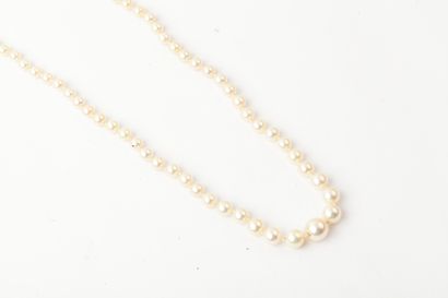 null Necklace made of a fall of cultured pearls. The clasp in silver. Diameter of...