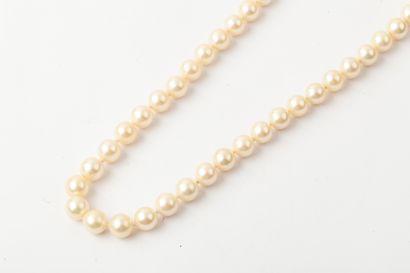 Long necklace made of a row of cultured pearls....