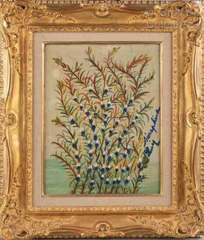 Attribué à Séraphine DE SENLIS (1864-1942) Fleurs bleues et blanches 
Huile sur panneau....