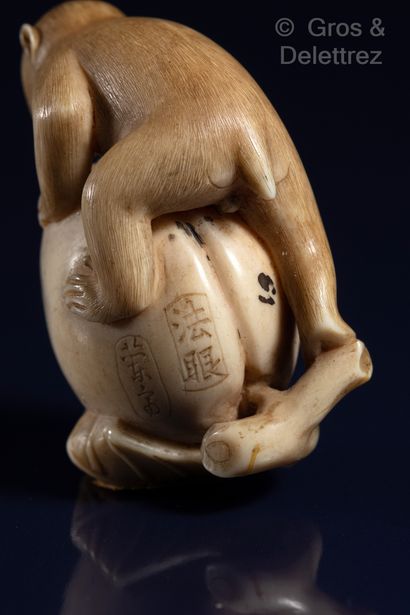 null Japon, XIXe siècle 	

Netsuke en ivoire figurant un singe grimpant sur une pêche...