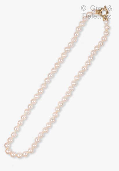 null Necklace made of a row of cultured pearls. The clasp snap hook in yellow gold....