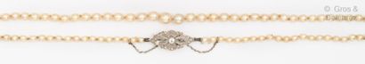 null Necklace composed of a fall of cultured pearls. The openwork clasp with poly-lobed...