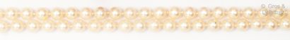 null Long necklace of cultured pearls. Diameter of the pearls: 7 mm. Length : 90...