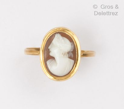 Yellow gold ring set with a cameo on two-coloured...