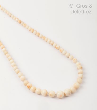 null Necklace of white coral pearls, the clasp in pink gold. Length: 100 cm. Gross...
