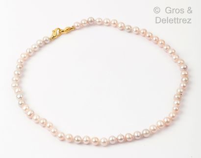 null Lot composed of a necklace and a bracelet made of freshwater pearls in pink...