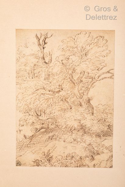 null École bolonaise, 17ème siècle	

Un bosquet d’arbres sur un promontoire	

Plume...