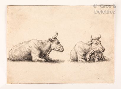 null Aelbert Cuyp (1620-1691)	

Deux vaches	

Pierre noire, lavis gris, traits d’encadrement...