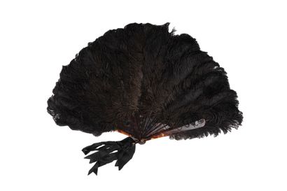 null Ostrich feathers, Europe, circa 1890 *Black ostrich feather fan. Brown tortoiseshell...