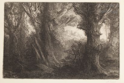 null Alphonse LEGROS (1837 – 1911) Dans la forêt de Conteville. Eau-forte. Deux exemplaires...