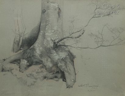null René-Ernest HUET (1876-1914)

Arbre du bois d’Ecancy

Crayon et rehauts de blanc,...