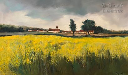 null Eric PEYROL (XXth)

Rape fields (Yvelines)

Oil on canvas signed lower right,...
