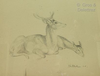 20th century school 
Deer and doe lying down,...