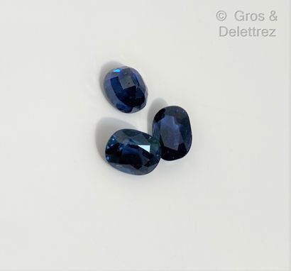 Lot of three sapphires on paper. 
Total weight...