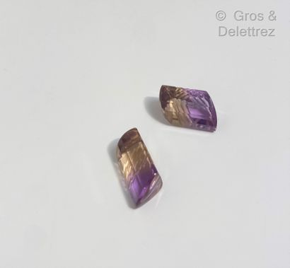 null Lot composed of two striated ametrines on paper.

Total weight: 16.8 carats...