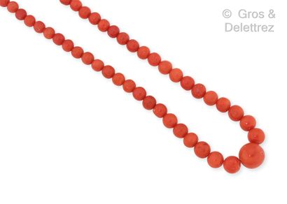 null Necklace of coral pearls in fall, the clasp in silver. Length: 62 cm. Diameter...