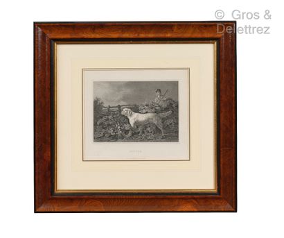 null P. REYNAGLE A.R A

Fox Hounes, Irish Grey Hounds, Setter et Greenland Dog

Suite...