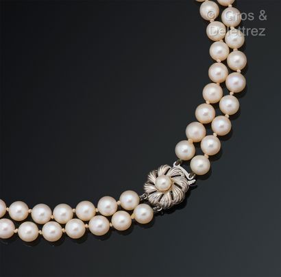 null Necklace composed of two rows of cultured pearls. The clasp in white gold (14K)...