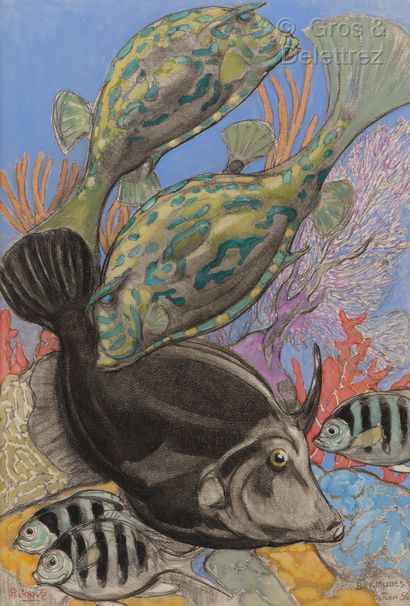 Paul JOUVE (1878-1973) Poissons Bermudes, juin 1956

Gouache sur papier.

Signé en...