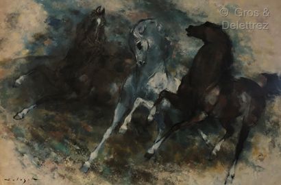 null (E) Denis HOLEGET (XXth)

Horses in freedom

Canvas, signed lower left.

60...