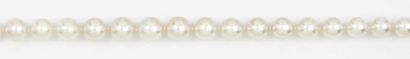 null Collier de perles de culture des Mers du Sud, le fermoir en or jaune et or gris...