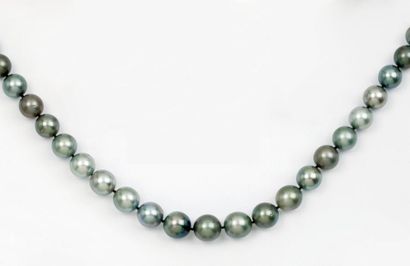 null Collier de 35 perles de culture grises de Tahiti, le fermoir rhodié. Diamètre...