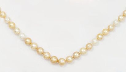 null Collier de 35 perles de culture des Mers du Sud blanches et gold, le fermoir...