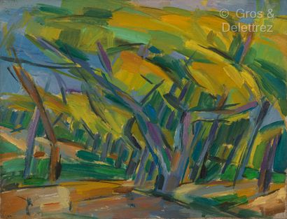 Claude VALLET Paysages cubistes de Provence

3 huiles sur toile.

Un daté 54

27...