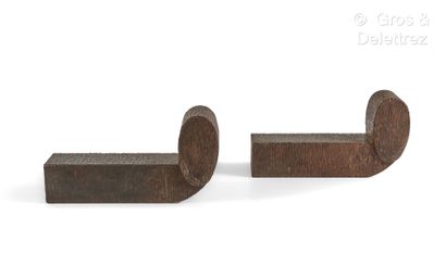 JACqUes-éMIle rUhlMAnn (1879-1933) Paire de chenets en fer forgé et battu.

Variante...