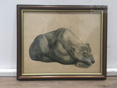 null (E) Georges Lucien GUYOT (1885-1973)

White bear 

Reproduction in black

23...