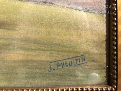 null (SD) J. PHEULPIN (XXe) 

Pin en bord de mer 

Pastel sur papier signé en bas...