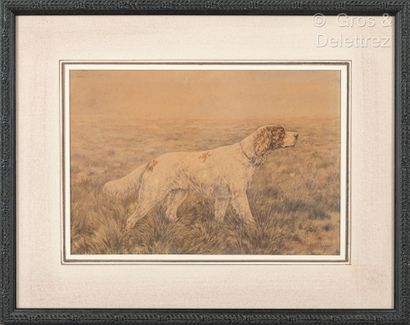 Frédéric MASSON (XIXe-XXe) Braque dog

Setter dog

Two watercolors with gouache highlights,...